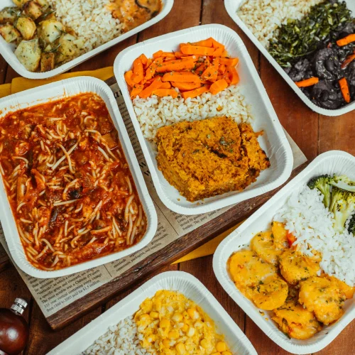 KIT VEGETARIANO C/ 12 REFEIÇÕES 300G